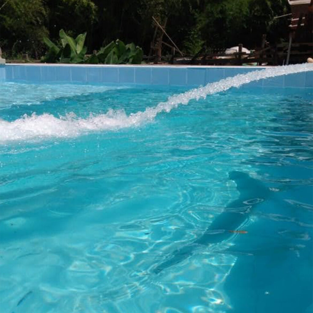 Abastecimento de piscinas via caminhão pipa em Cotia